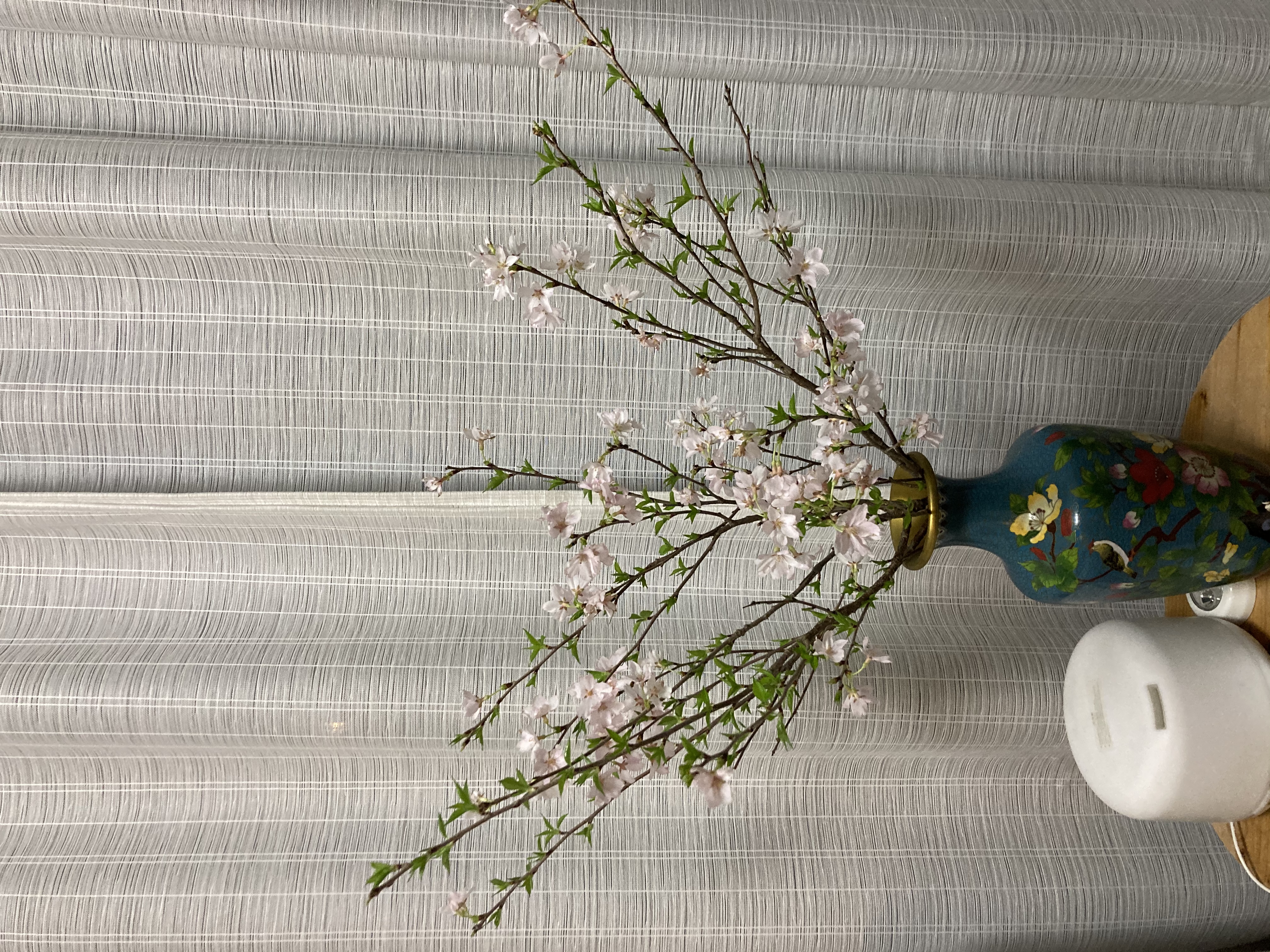 撮影しました！